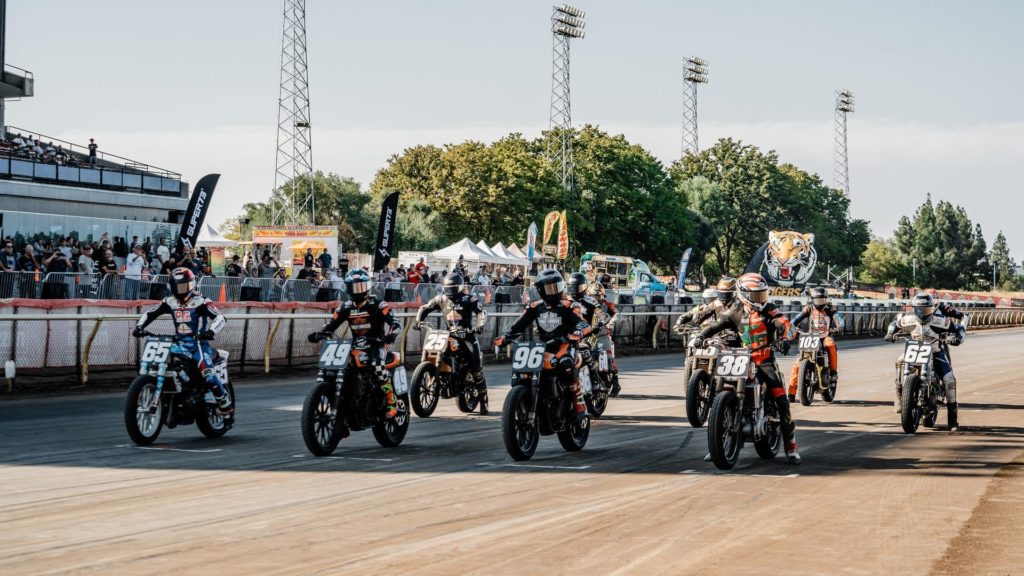 Harley-Davidson Racers in Progressive American Flat Track and MotoAmerica King of the Baggers
