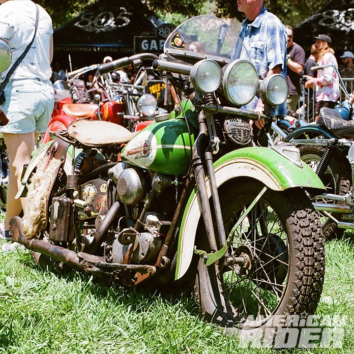 Born-Free 15 Knucklehead