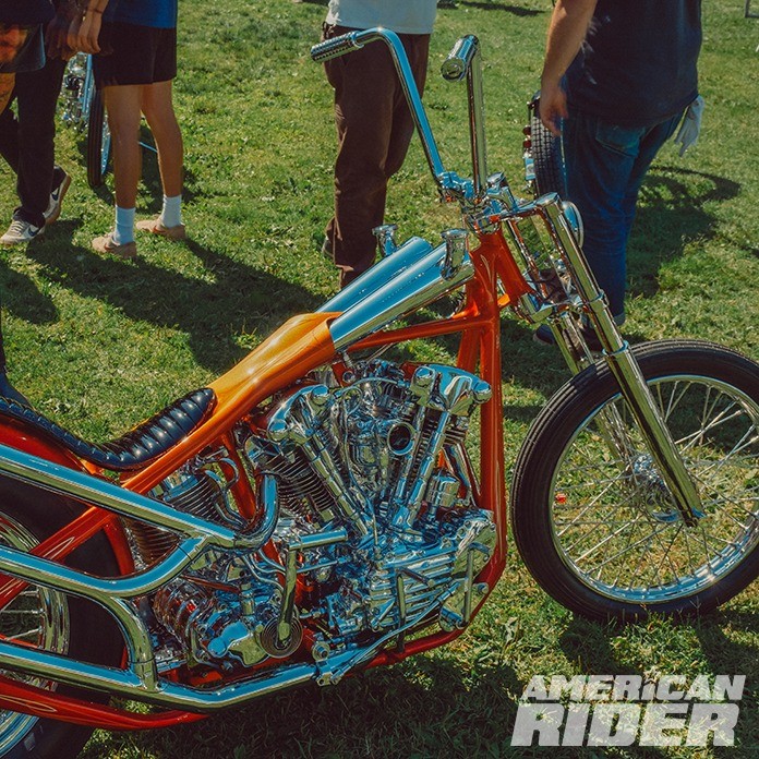 Born-Free 15 Knucklehead