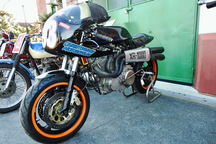 Blackadder Harley-Davidson XR1000 Lindsay Williamson