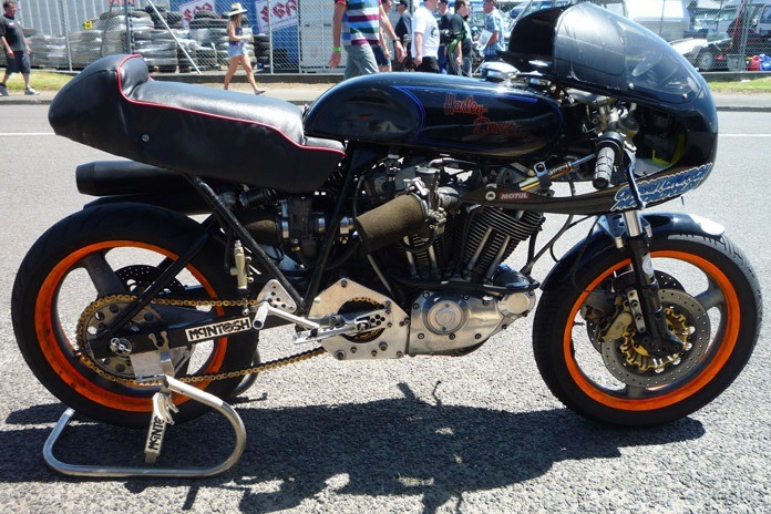 Blackadder Harley-Davidson XR1000 Lindsay Williamson