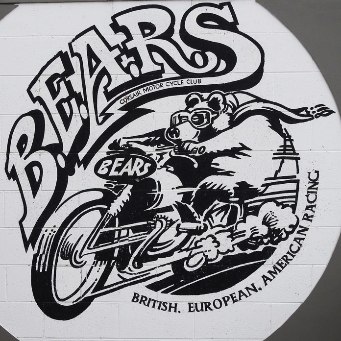 Blackadder Harley-Davidson XR1000 Lindsay Williamson
